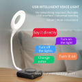 Flexible USB Portable Mini Reading Desk Night light